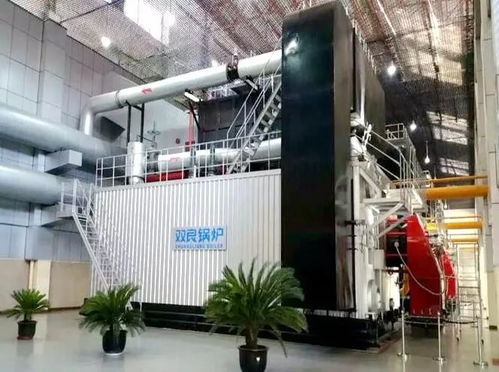 江陰僅此一家 雙良重大創新產品受省工信廳表彰