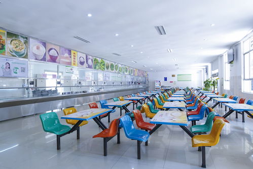 河北改名最頻繁的高校,曾被誤認(rèn)是 野雞 大學(xué),如今變得氣派